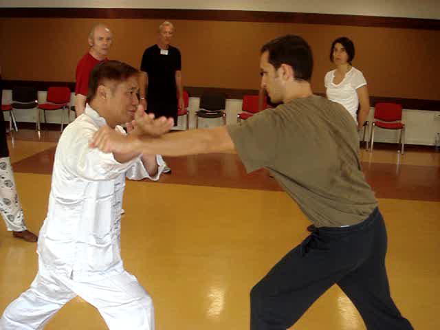 Wahnam Taijiquan, Tai Chi Chuan