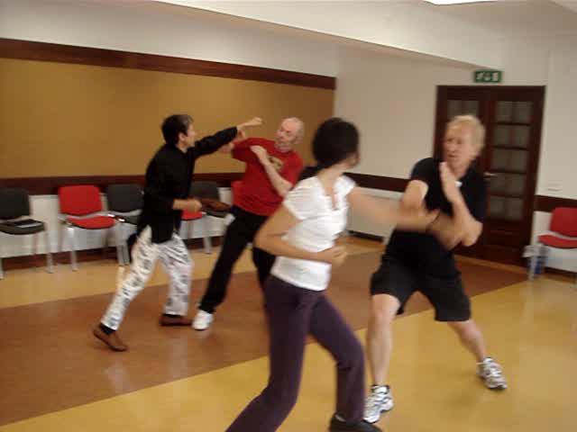 Wahnam Taijiquan