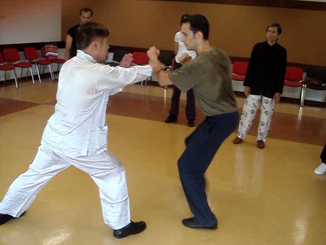 Wahnam Taijiquan, Tai Chi Chuan