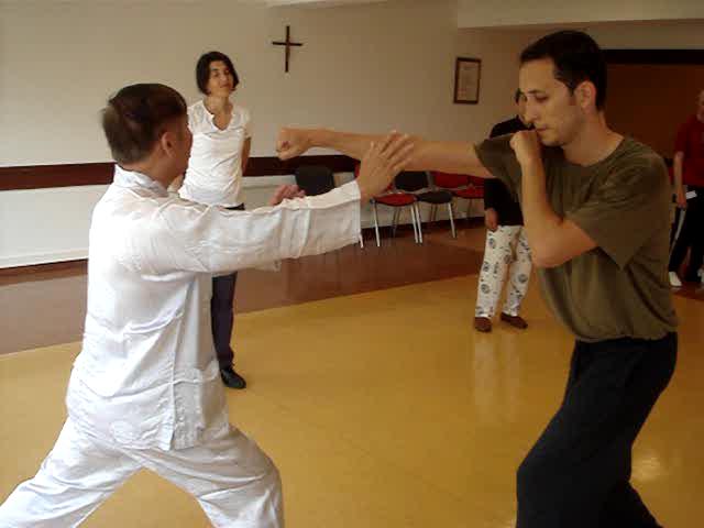 Wahnam Taijiquan, Tai Chi Chuan
