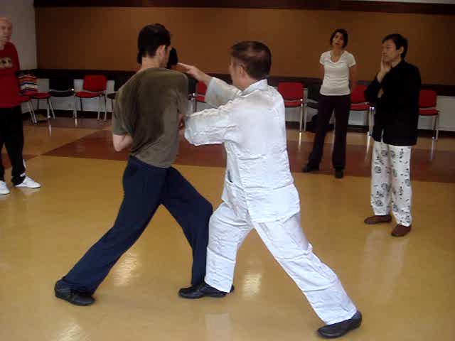 Wahnam Taijiquan