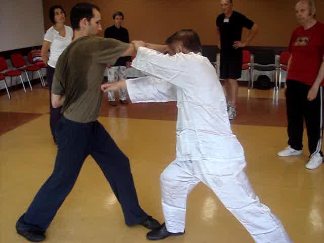 Wahnam Taijiquan, Tai Chi Chuan