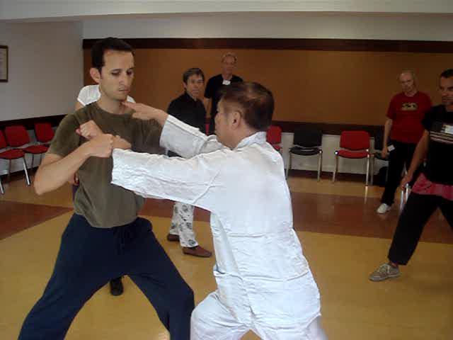 Wahnam Taijiquan, Tai Chi Chuan