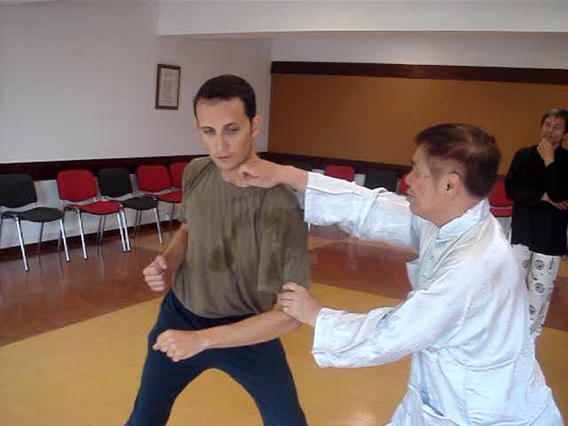 Wahnam Taijiquan, Tai Chi Chuan