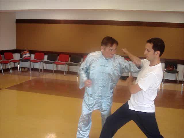 Wahnam Taijiquan, Tai Chi Chuan