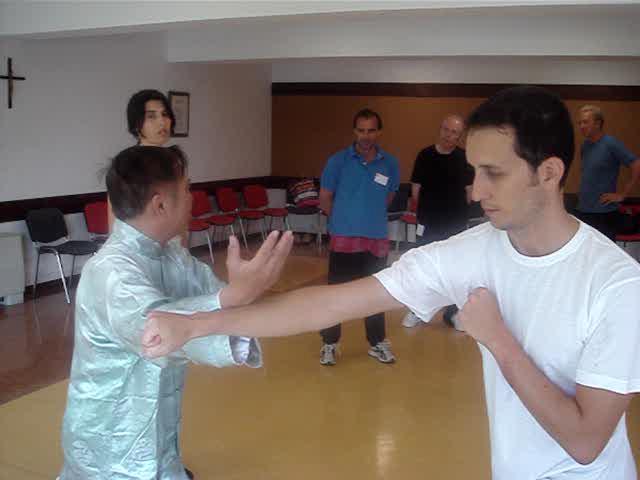 Wahnam Taijiquan, Tai Chi Chuan