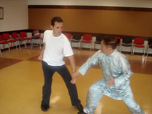Wahnam Taijiquan, Tai Chi Chuan