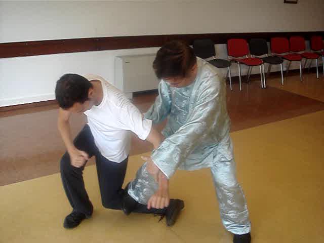 Wahnam Taijiquan