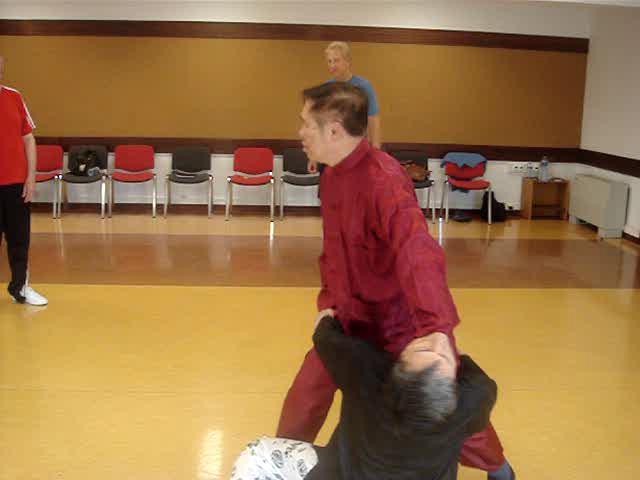 Wahnam Taijiquan, Tai Chi Chuan