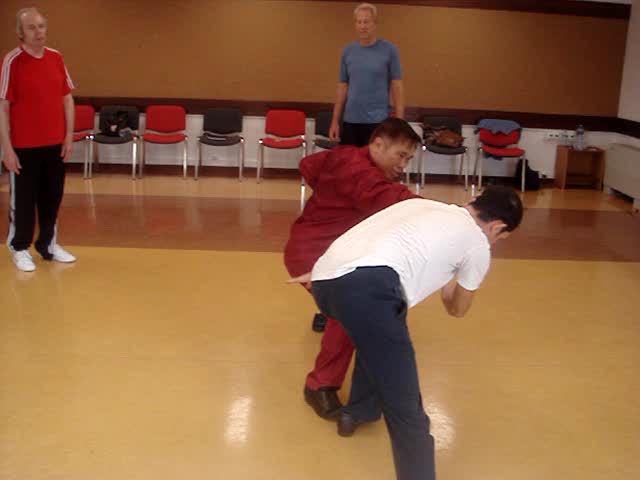 Wahnam Taijiquan, Tai Chi Chuan