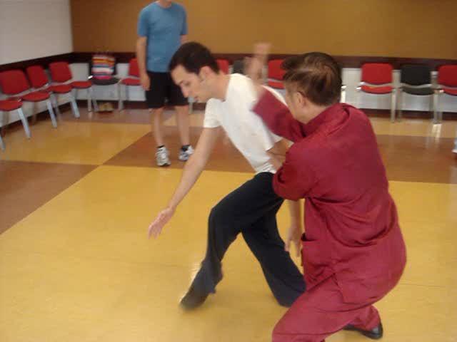 Wahnam Taijiquan, Tai Chi Chuan