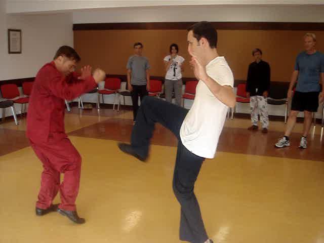 Wahnam Taijiquan
