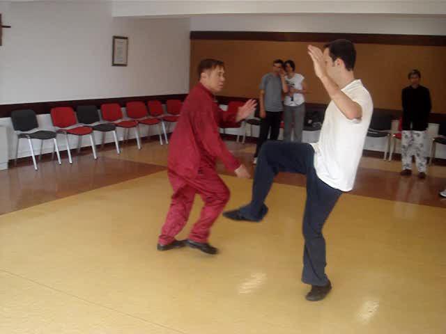 Wahnam Taijiquan, Tai Chi Chuan