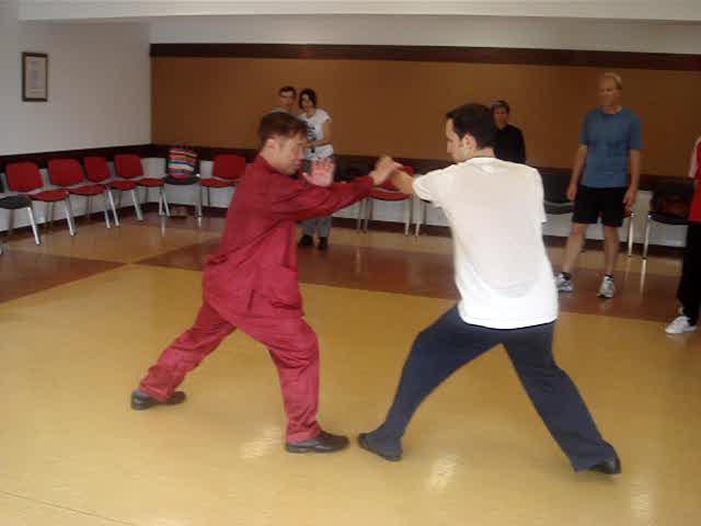 Wahnam Taijiquan, Tai Chi Chuan