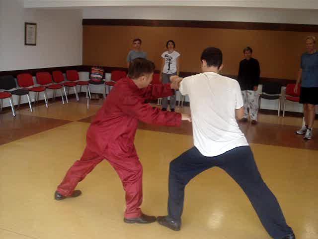 Wahnam Taijiquan, Tai Chi Chuan
