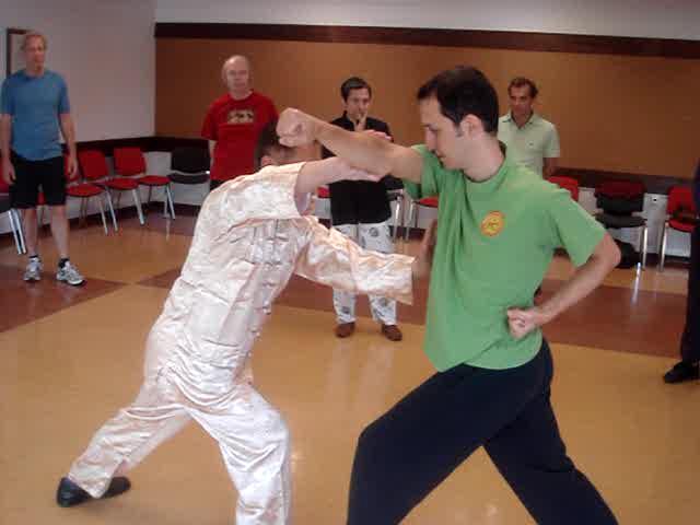 Wahnam Taijiquan, Tai Chi Chuan