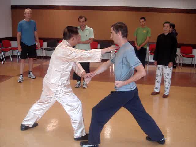 Wahnam Taijiquan
