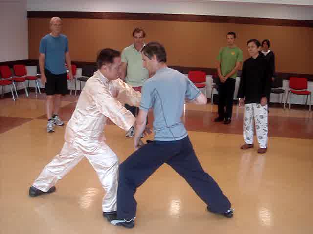 Wahnam Taijiquan, Tai Chi Chuan