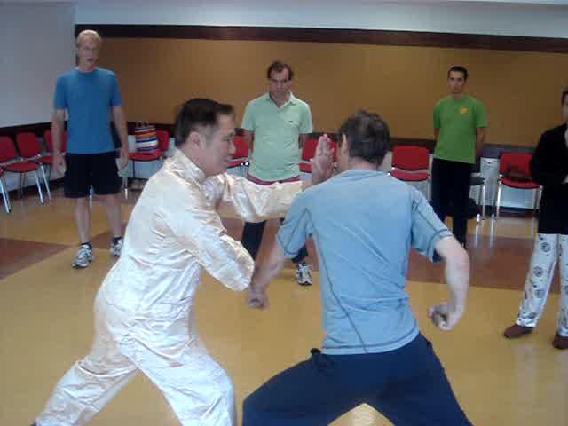 Wahnam Taijiquan, Tai Chi Chuan