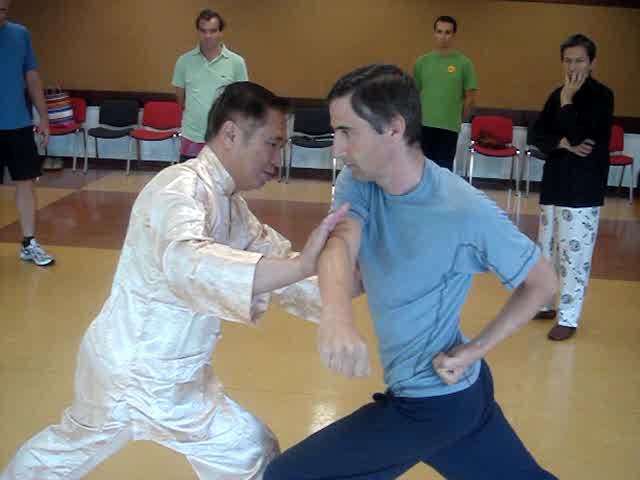Wahnam Taijiquan, Tai Chi Chuan