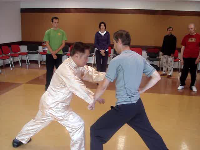 Shaolin Kungfu