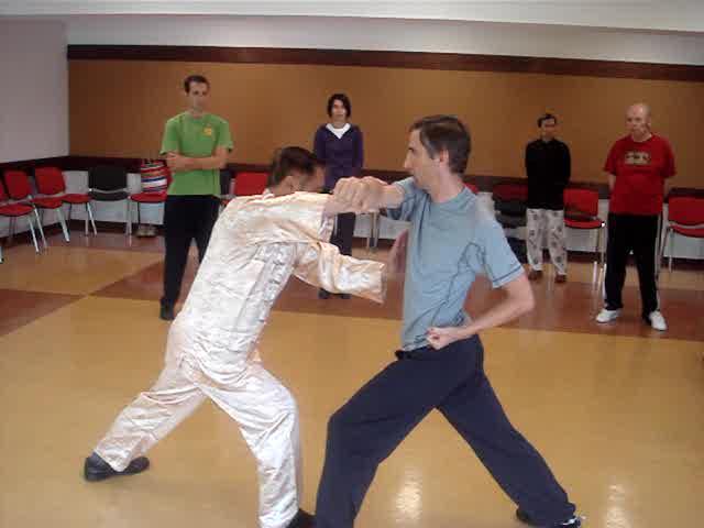 Wahnam Taijiquan, Tai Chi Chuan