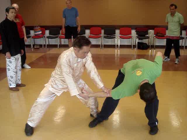 Wahnam Taijiquan, Tai Chi Chuan