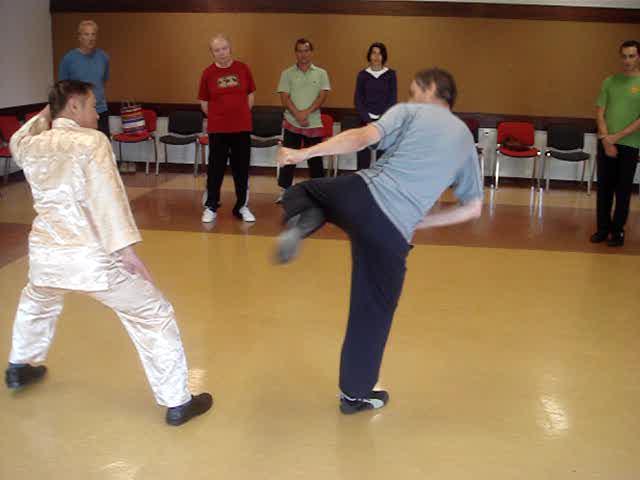 Wahnam Taijiquan, Tai Chi Chuan