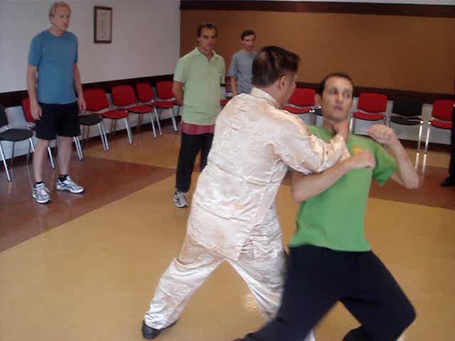 Wahnam Taijiquan, Tai Chi Chuan