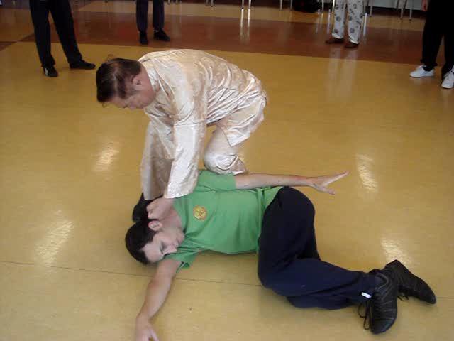 Wahnam Taijiquan, Tai Chi Chuan