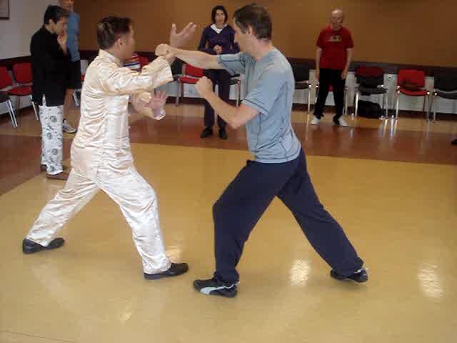Wahnam Taijiquan, Tai Chi Chuan