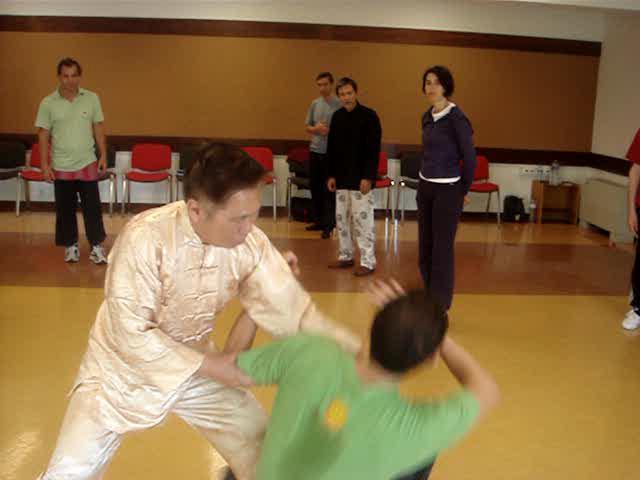 Wahnam Taijiquan, Tai Chi Chuan