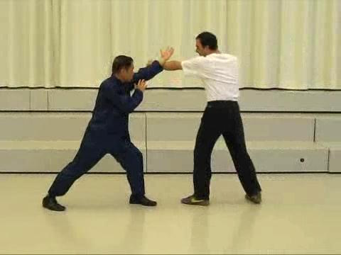 Shaolin Taijiquan