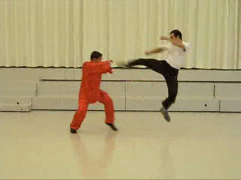 Shaolin Taijiquan