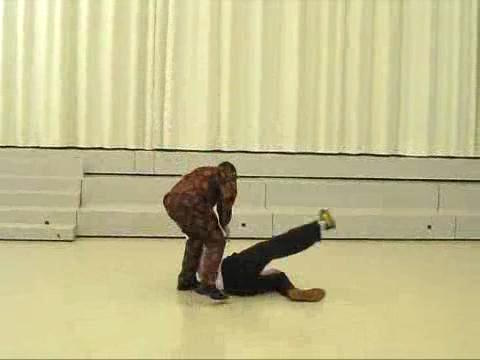 Shaolin Taijiquan
