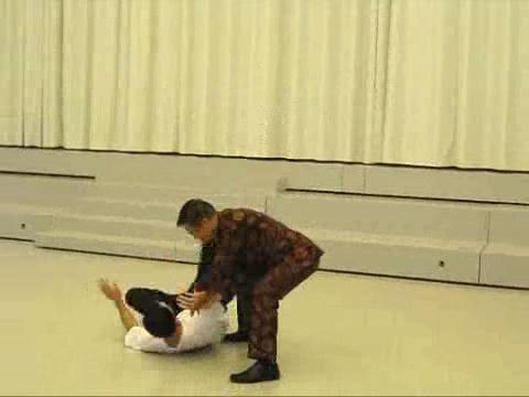 Shaolin Taijiquan