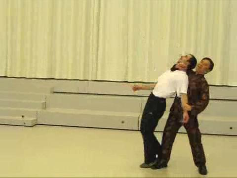 Shaolin Taijiquan