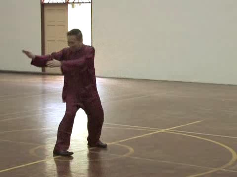 Shaolin Tai Chi Chuan