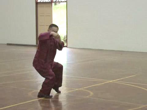 Shaolin Tai Chi Chuan