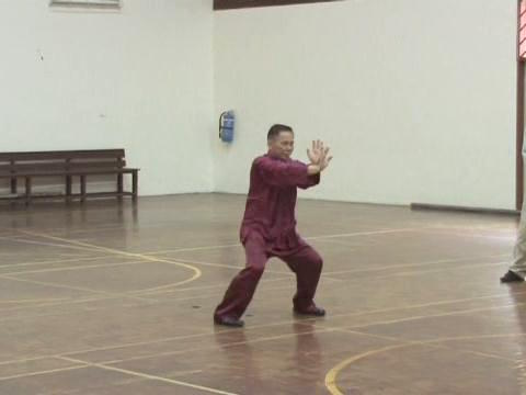 Shaolin Tai Chi Chuan