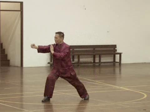 Shaolin Tai Chi Chuan