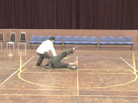 Shaolin Tai Chi Chuan