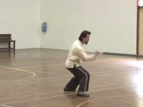 Shaolin Tai Chi Chuan