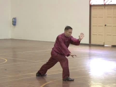 Shaolin Tai Chi Chuan