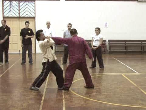 Shaolin Tai Chi Chuan
