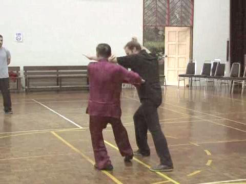Shaolin Tai Chi Chuan