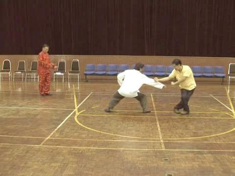 Shaolin Tai Chi Chuan