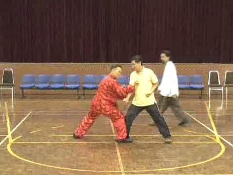 Shaolin Tai Chi Chuan