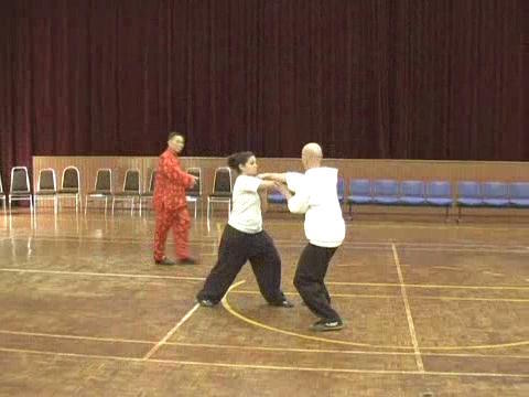 Shaolin Tai Chi Chuan