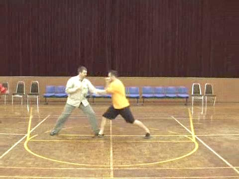 Shaolin Tai Chi Chuan
